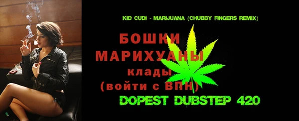 эйфоретик Арсеньев