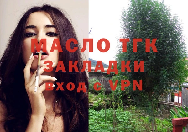 эйфоретик Арсеньев