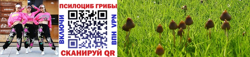 Псилоцибиновые грибы прущие грибы Липки