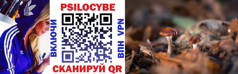 Псилоцибиновые грибы GOLDEN TEACHER  Липки 